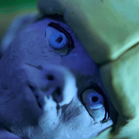 Confused Girl GIF by GUNSHIP