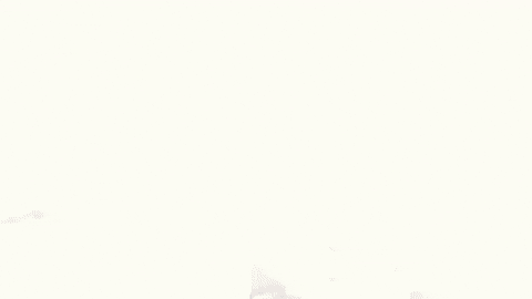 Slimeovashiest GIF by Hopout Shawn