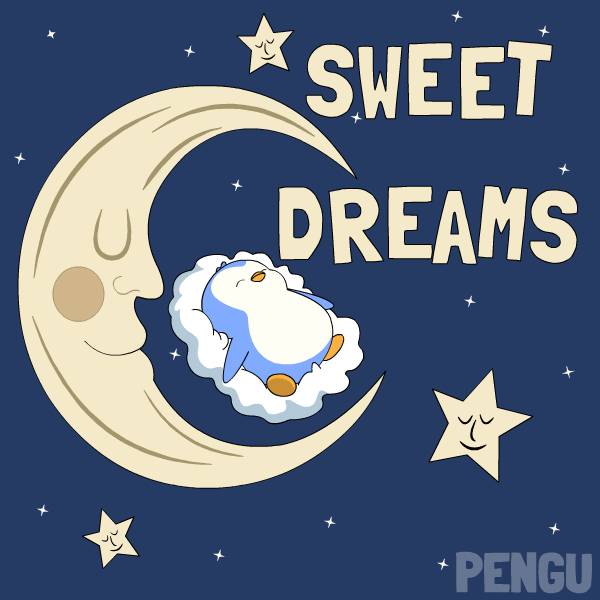 GIF by Pudgy Penguins