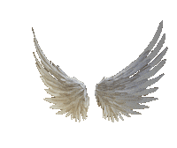 wings STICKER