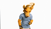 GIF by Venados FC