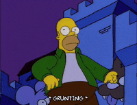 homer simpson GIF
