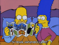 homer simpson GIF
