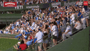 Excited Chicago Cubs GIF