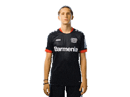 Bayer 04 Werkself Sticker by Bayer 04 Leverkusen