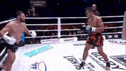 knockout guts GIF by GLORY Kickboxing