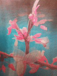 wow GIF by mtv
