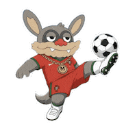 World Cup Football Sticker