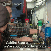 Pbs Biology GIF by WGBH Boston