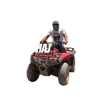 Haj Miljkovic Sticker by SikterTeam