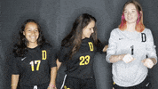 College Soccer GIF by University of Science & Arts
