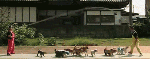 cooperation colleagues GIF