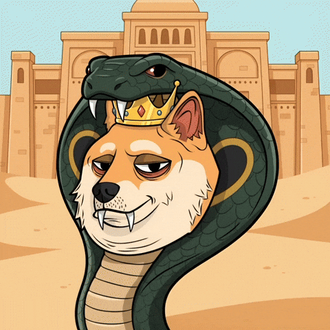 Shiba Inu Illustration GIF by Doge Pound