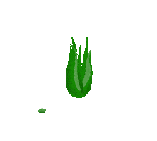 aloe vera dance Sticker by Unilever Indonesia