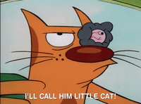 nicksplat GIF