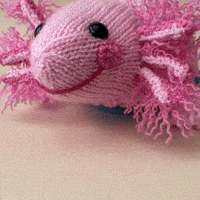 Fish Tank Cute Animals GIF by TeaCosyFolk