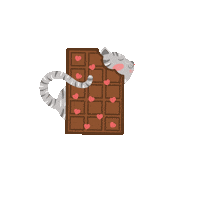 imaginacriar cat cats chocolate candy Sticker