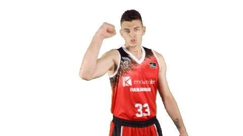 Liga Endesa Basketball Sticker by ACB