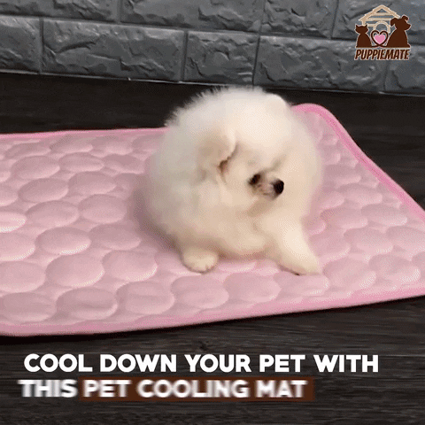 Puppiemate giphyupload coolingmat petcoolingmat GIF