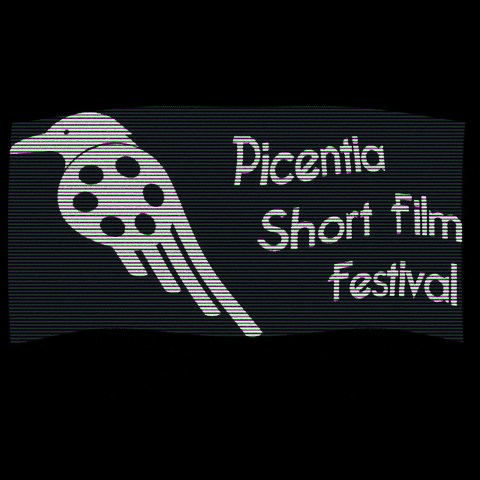picentiashortfilmfeestival giphyupload GIF