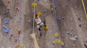 reality show love GIF by Hallmark Channel