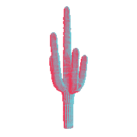 Concert Arizona Sticker by TikTok