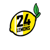 Car Racing Sticker by 24 Hours Of Lemons