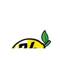 Car Racing Sticker by 24 Hours Of Lemons