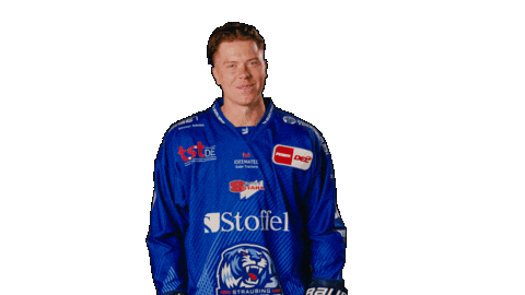 Tigershockey Sticker by Straubing Tigers