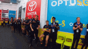 Round 3 Win GIF by Adelaide Crows