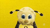 Look Up Borussia Dortmund GIF by Bundesliga