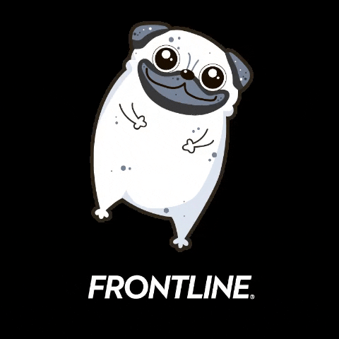 Frontline GIF by Boehringer Ingelheim