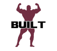Workout Flex Sticker by Legend Fitness