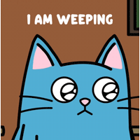 Big Eyes Nopecat GIF