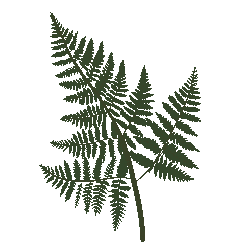 Vibes Plantas Sticker by Quimeracaminar