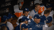 Excited Los Angeles Dodgers GIF by MLB