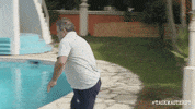 GIF by Taskmaster Portugal