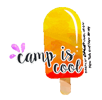 ACANYNJ camp summer camp aca 10for2 Sticker