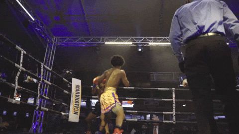 Long Beach Knockout GIF by H2O Promotion