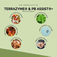 Digest Young Living GIF by Jennifer Accomando