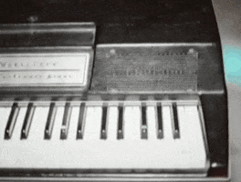 cleopold GIF by Downtown Records