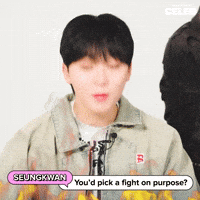 K Pop Fight GIF by BuzzFeed