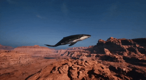 Mountain Whale GIF