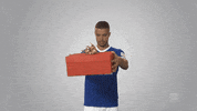 merry christmas what GIF by Bundesliga