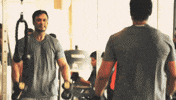 Ready To Fight GIF
