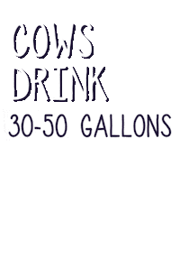 Go Vegan Climate Change Sticker by LIVEKINDLY