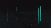 Lewis Hamilton Sport GIF by Mercedes-AMG Petronas Formula One Team