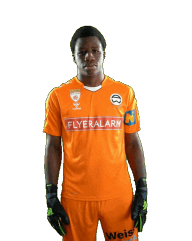 Conde Admira Sticker by KSV1919