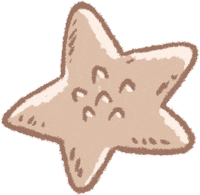 Beach Star Sticker by summertideswim