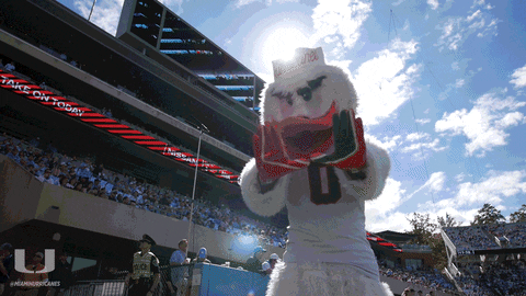 U Hands College Football GIF by Miami Hurricanes